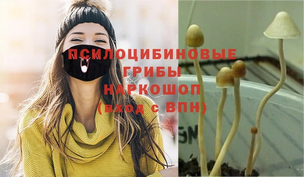 сатива Армянск