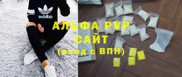 твердый Арсеньев