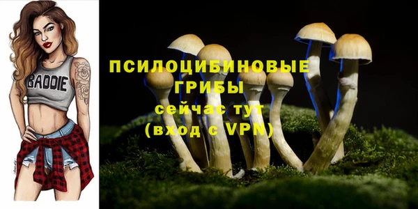 твердый Арсеньев